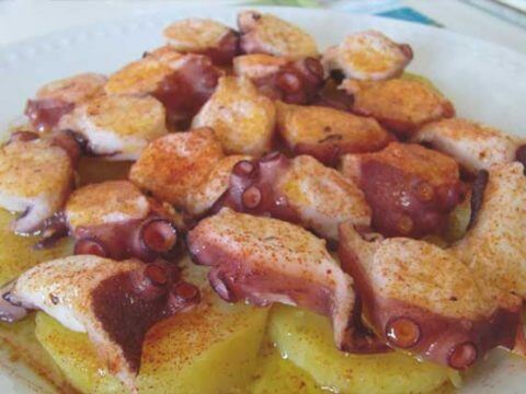 Galician octopus catering