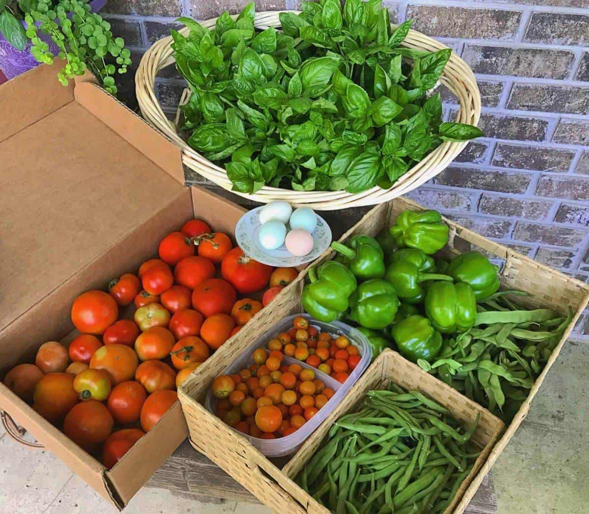 Real Paella Catering uses only locally grown Organic Produce